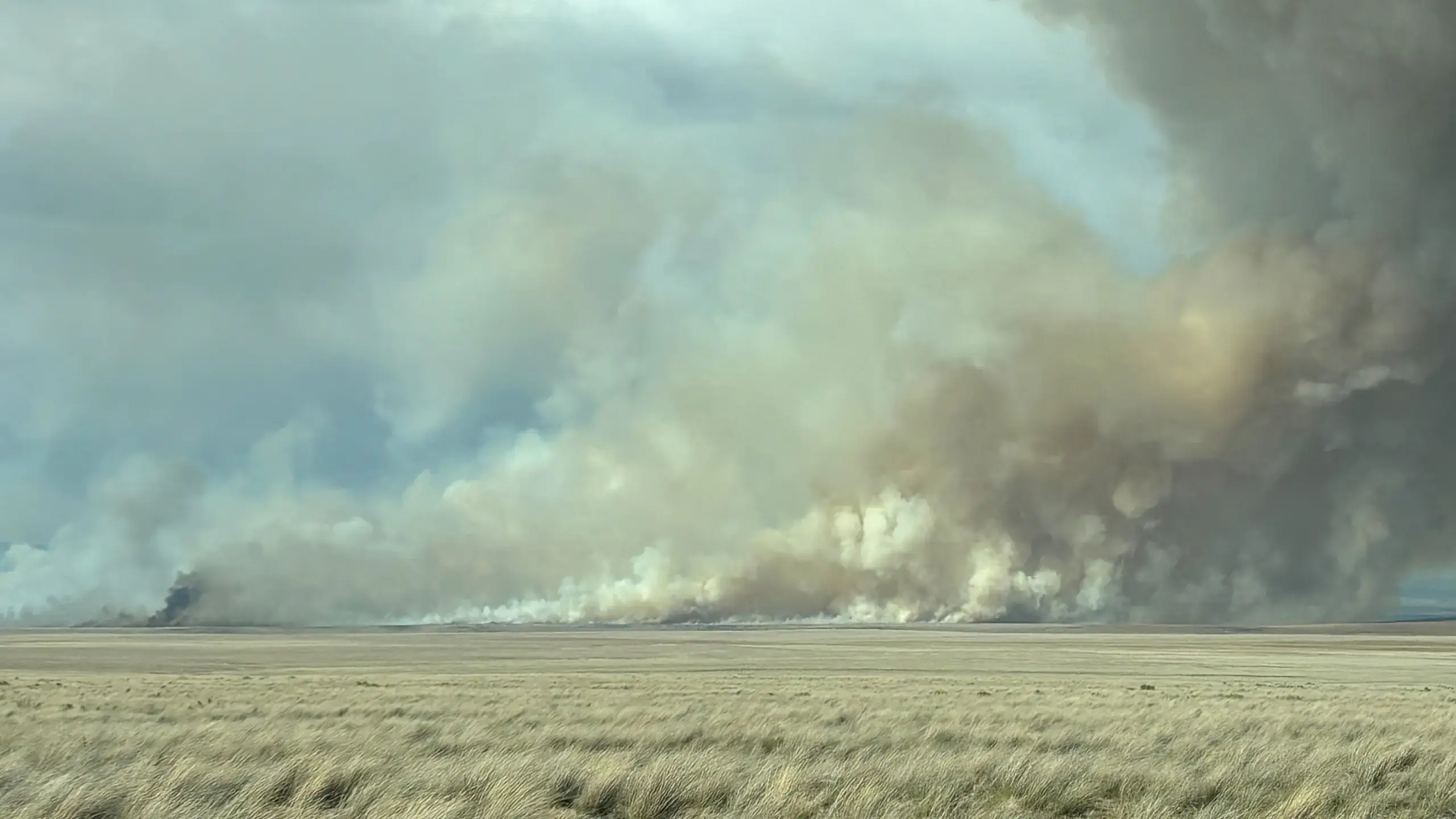 A large wildfire emitting dense smoke over a grassy plain under a cloudy sky.