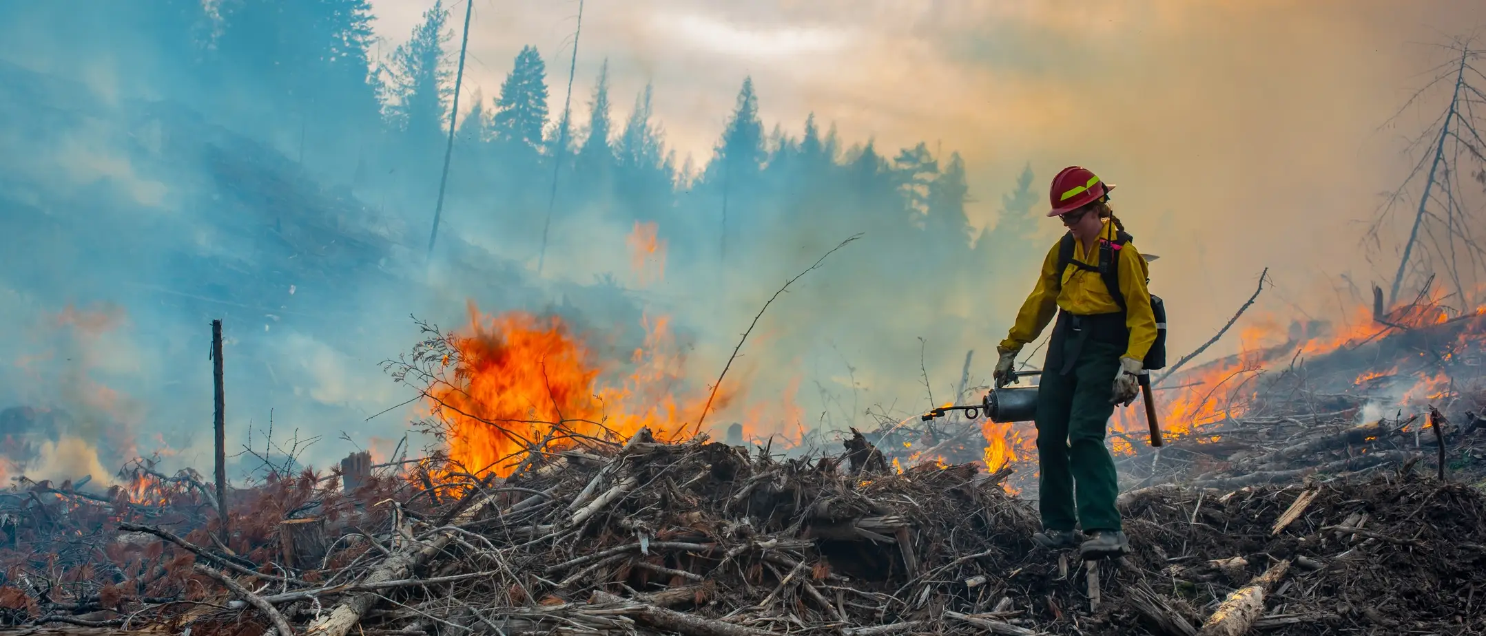 College of Natural Resources prescribed burn in the University of Idaho Experimental Forest