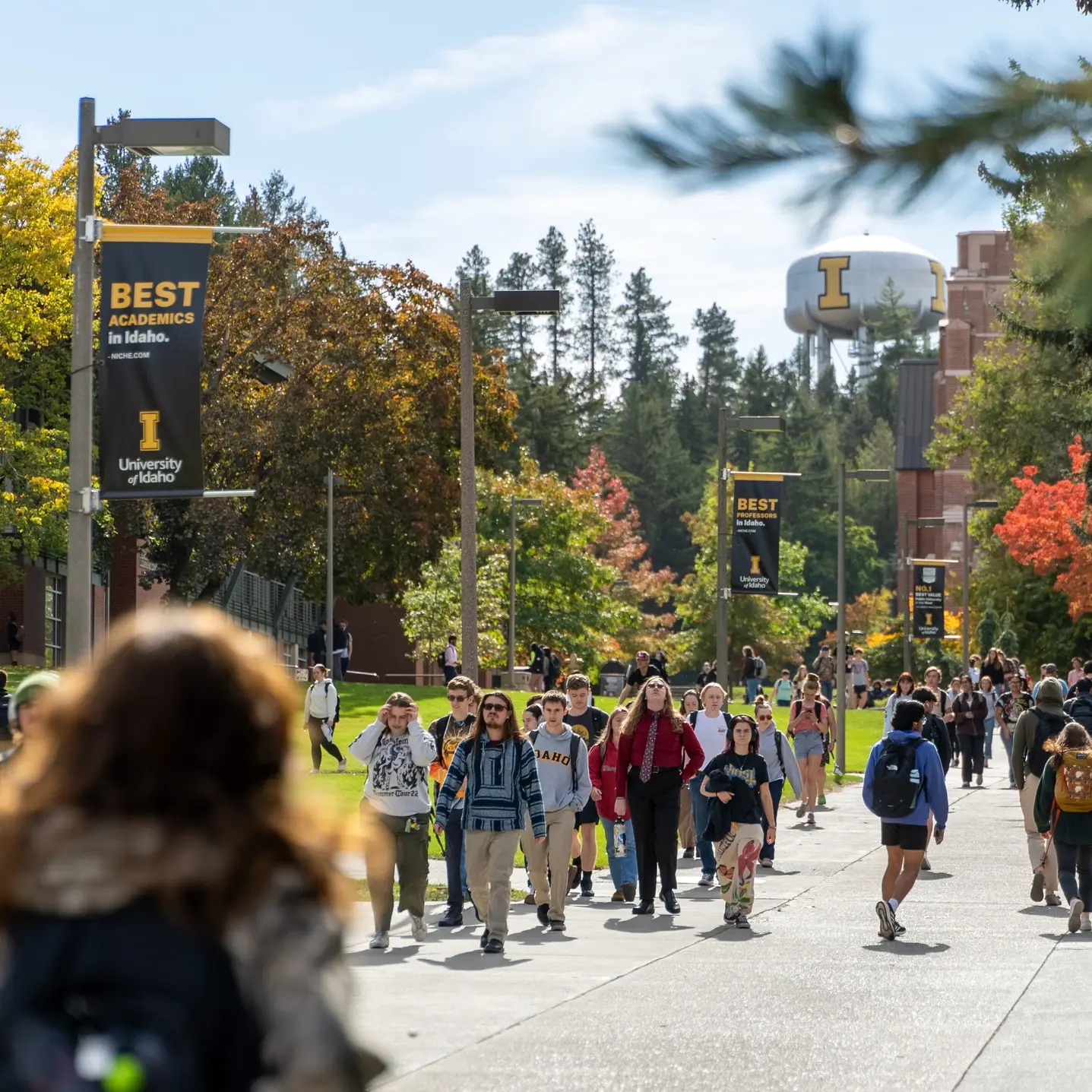 Seasonal Fall Campus Stock Imagery