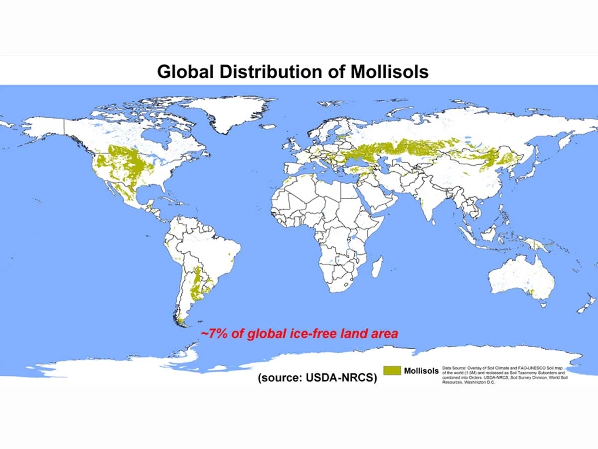 A global map of mollisols distribution