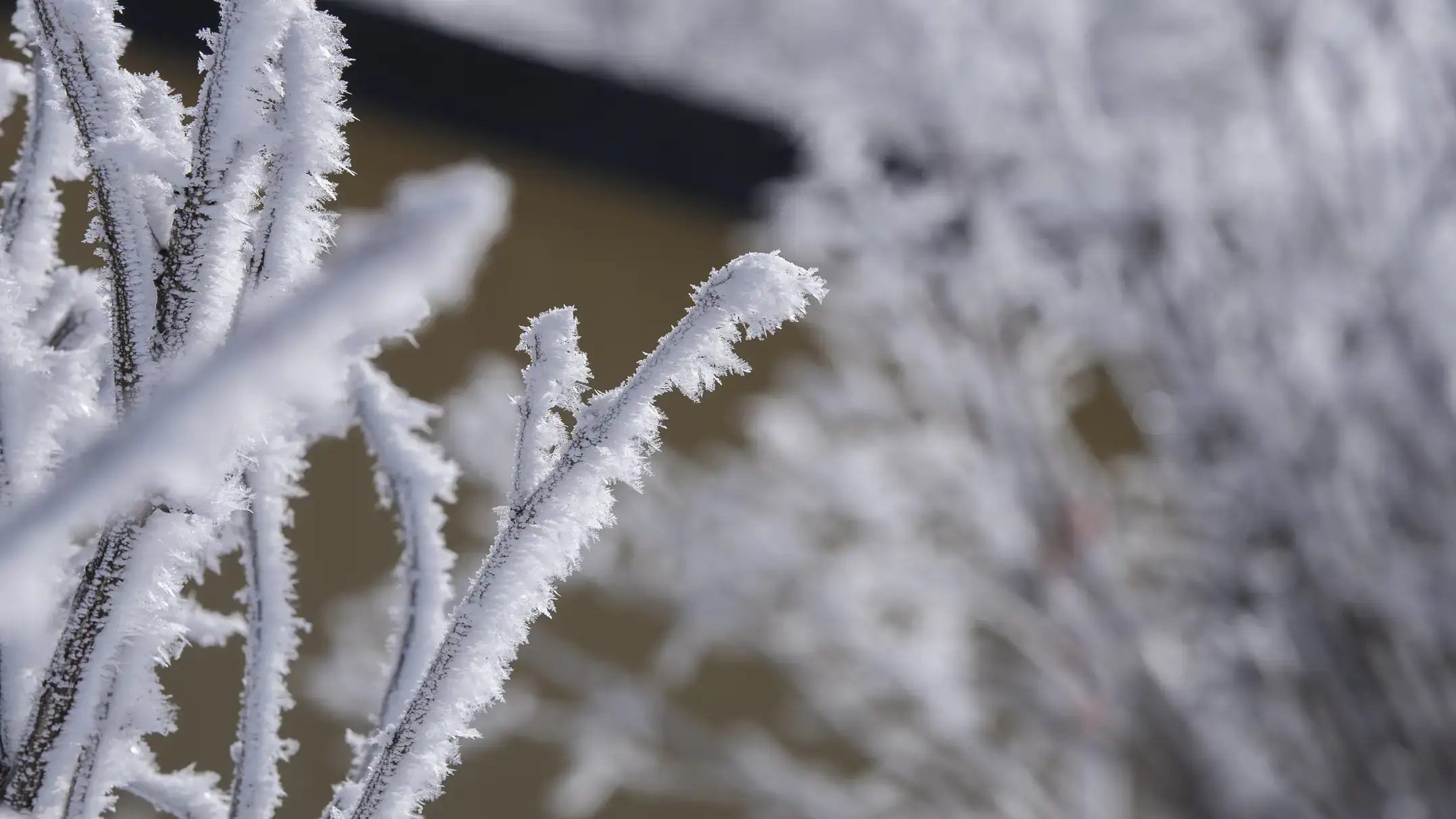 2025 campus winter scenes for digital ads.