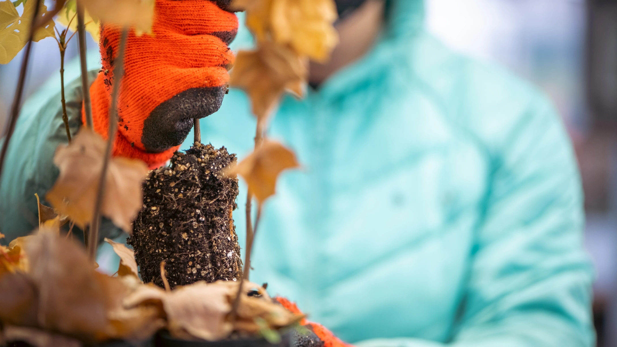 University of Idaho College of Natural Resources students learning hands-on in Pitkin Nursery