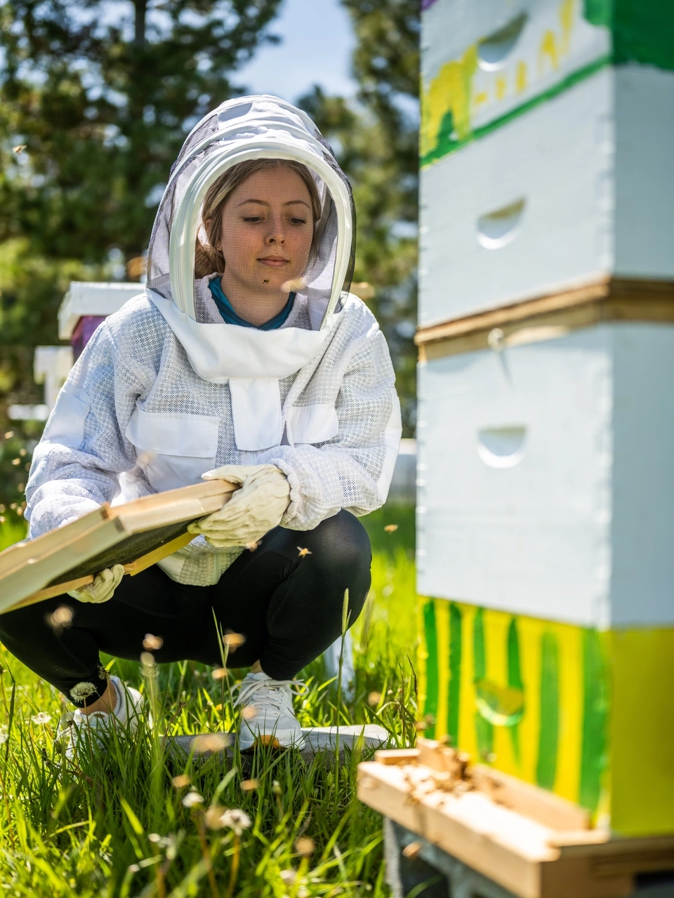 Woman in bee suit kneels in grass in front of beehive.