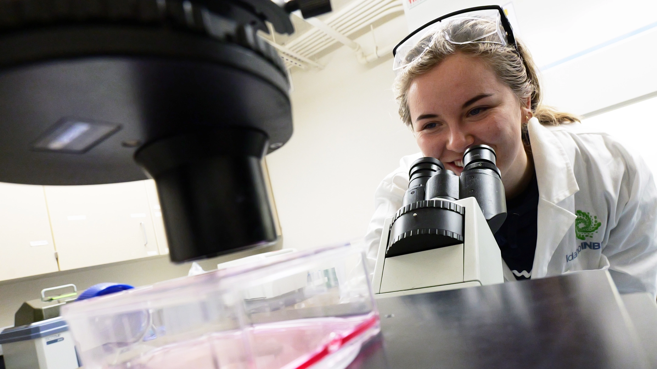 Girl looking through microscope