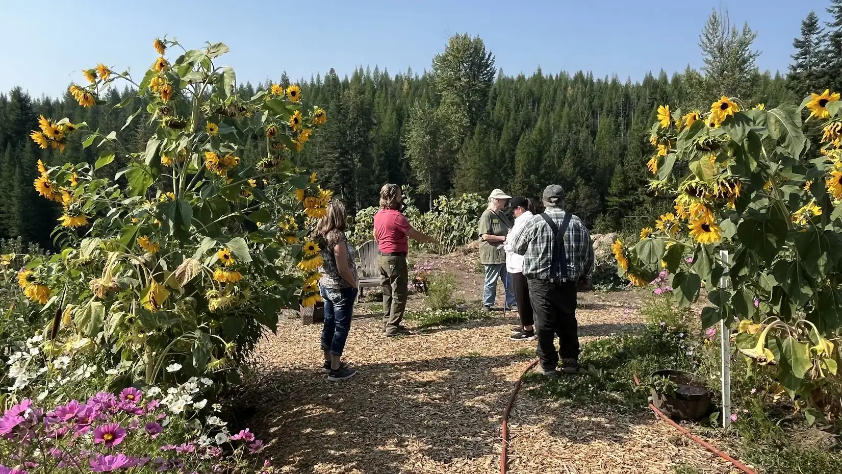 UI Extension program photos and files in counties