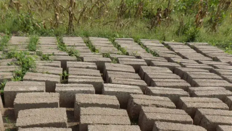 Mud bricks drying on the ground.
