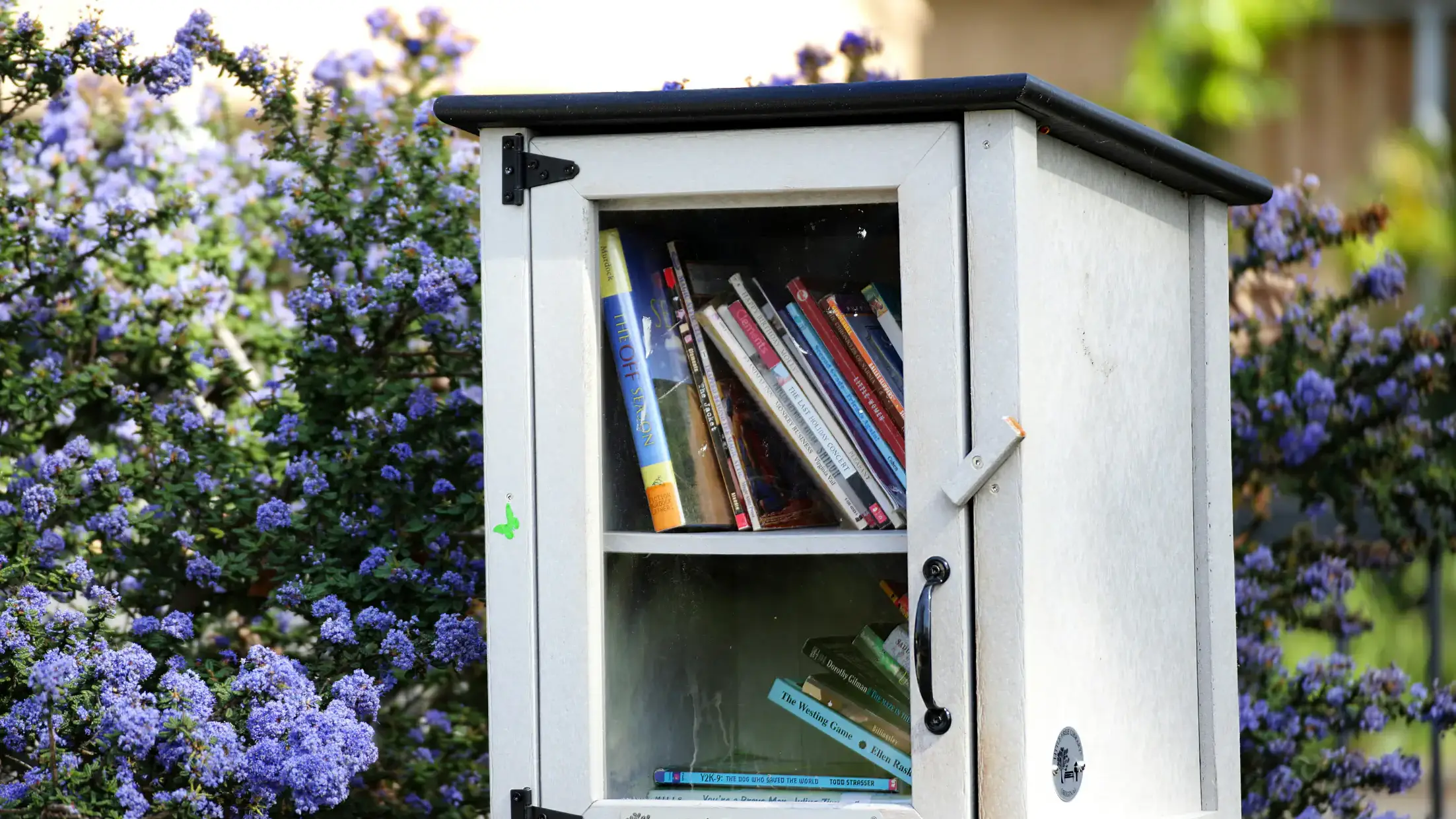 Community and economic development photos