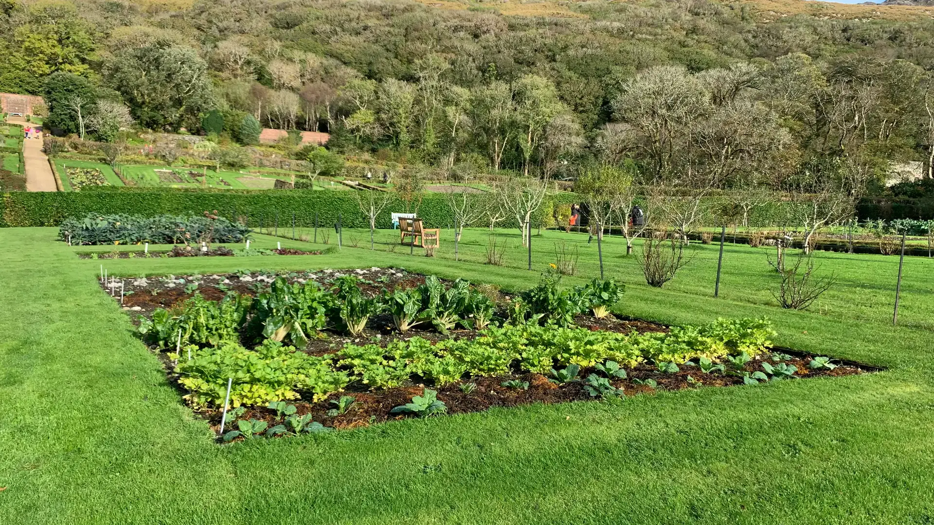 A photo of a community garden in a park.
