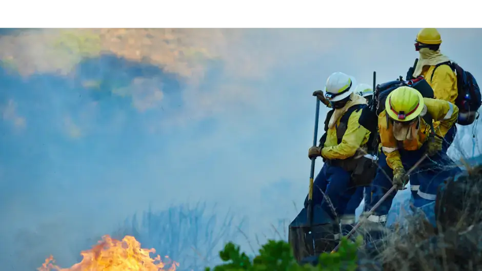 Woodland firefighters fight a forest fire.