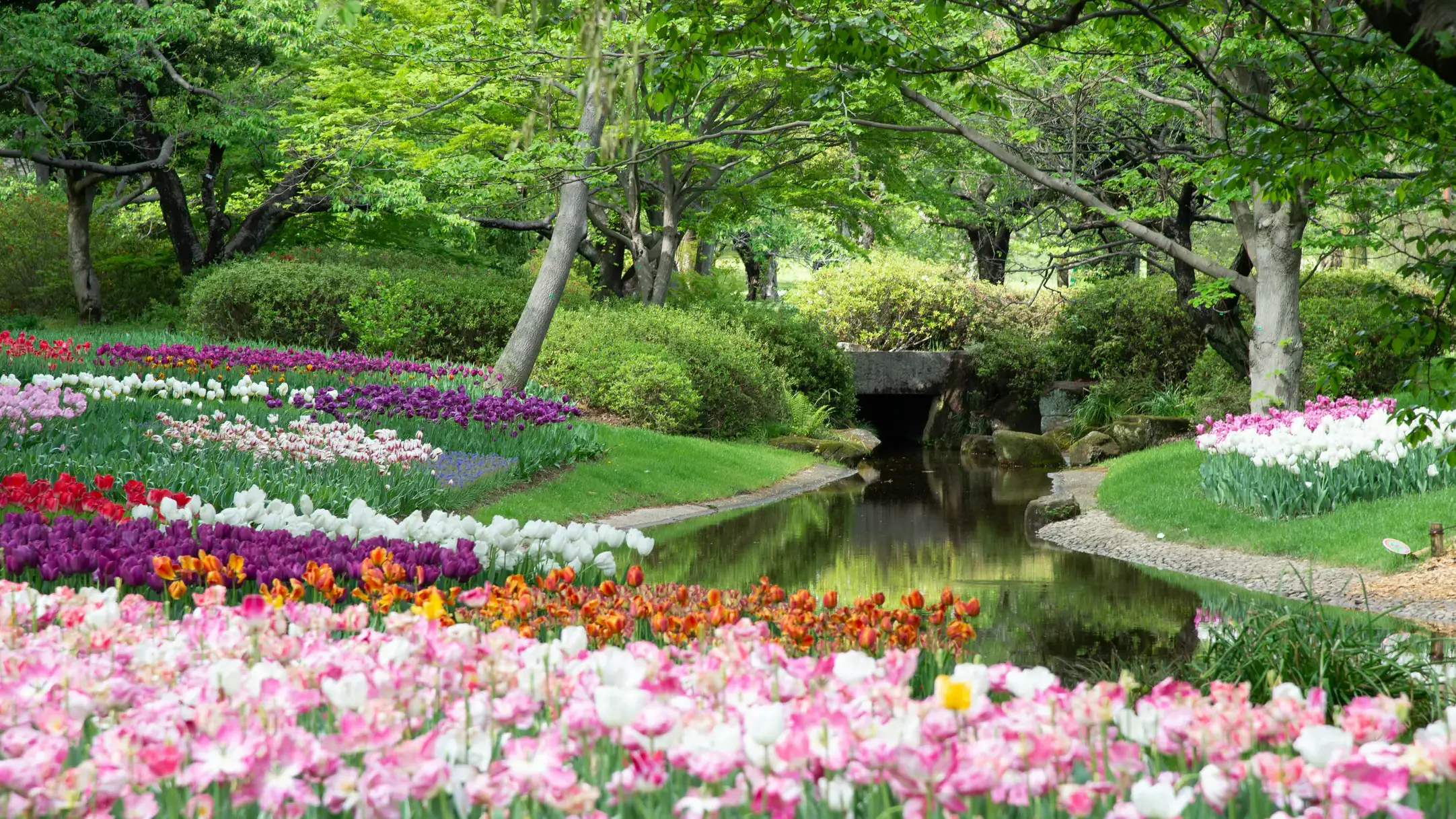 Seasons of color in your garden