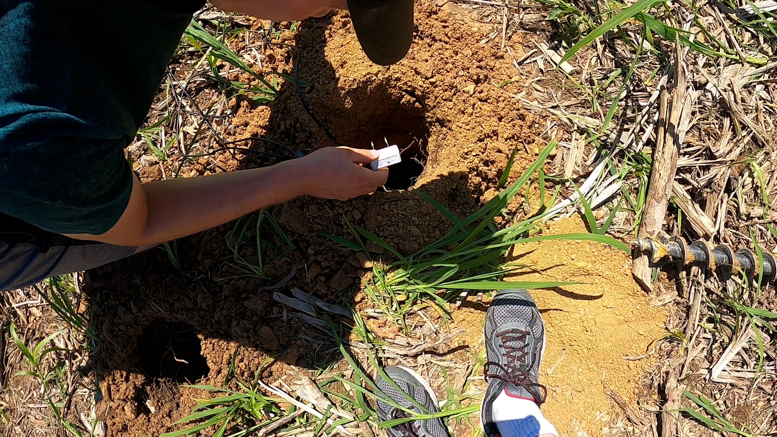 A student places a small device into a hole in the soil on the forest floor.