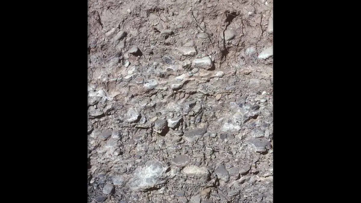 A photo of aridisols