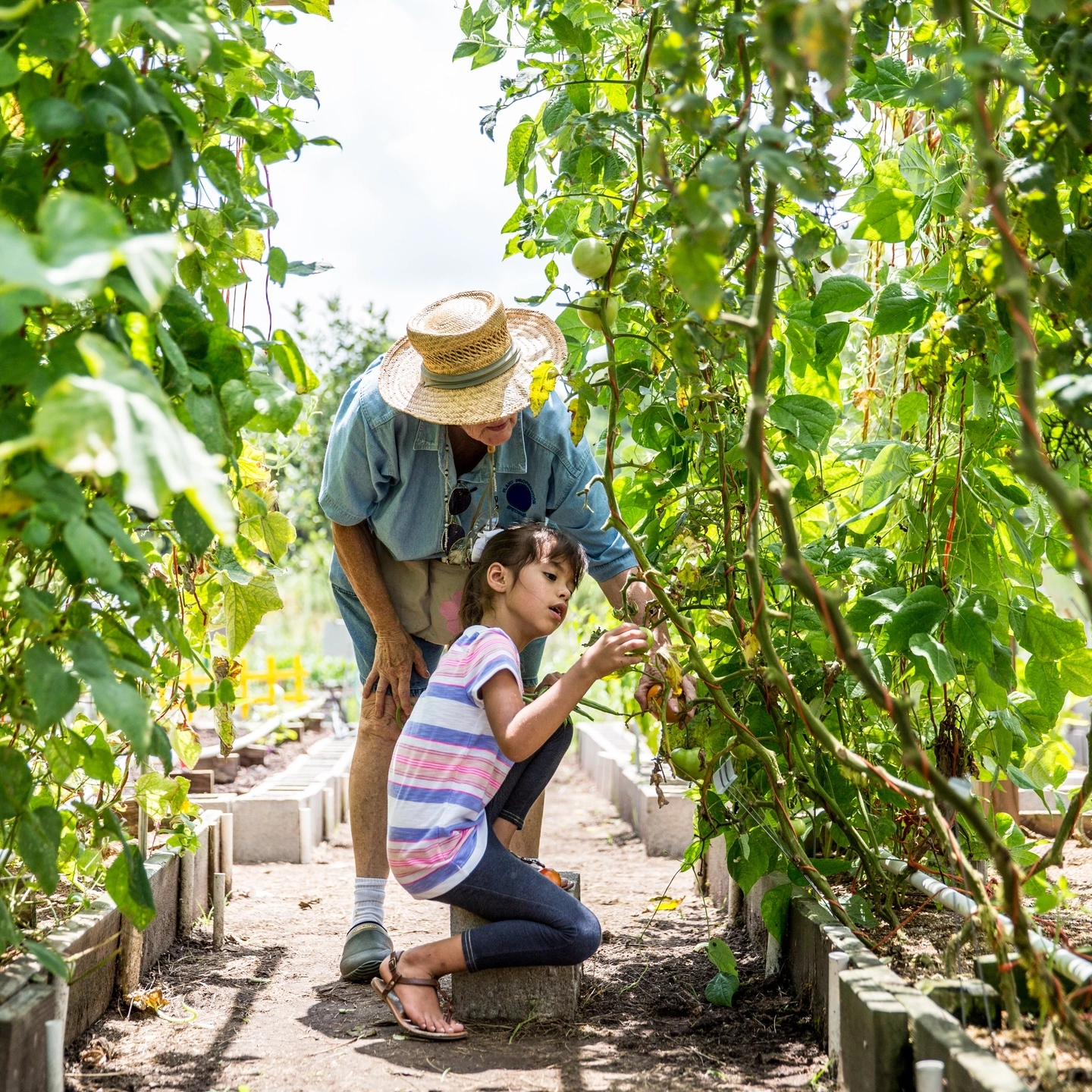 A volunteer and young child tending to a community garden.