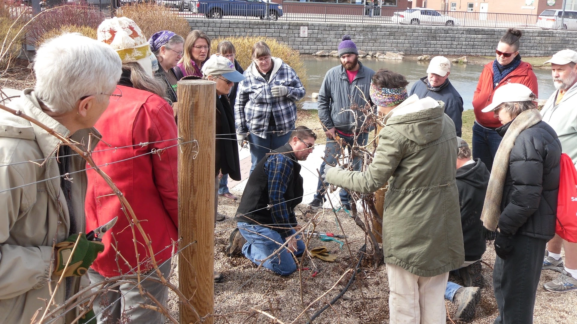 Horticulture and master gardeners at work