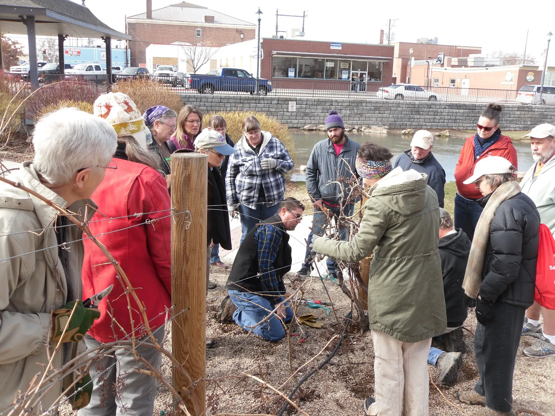 Horticulture and master gardeners at work