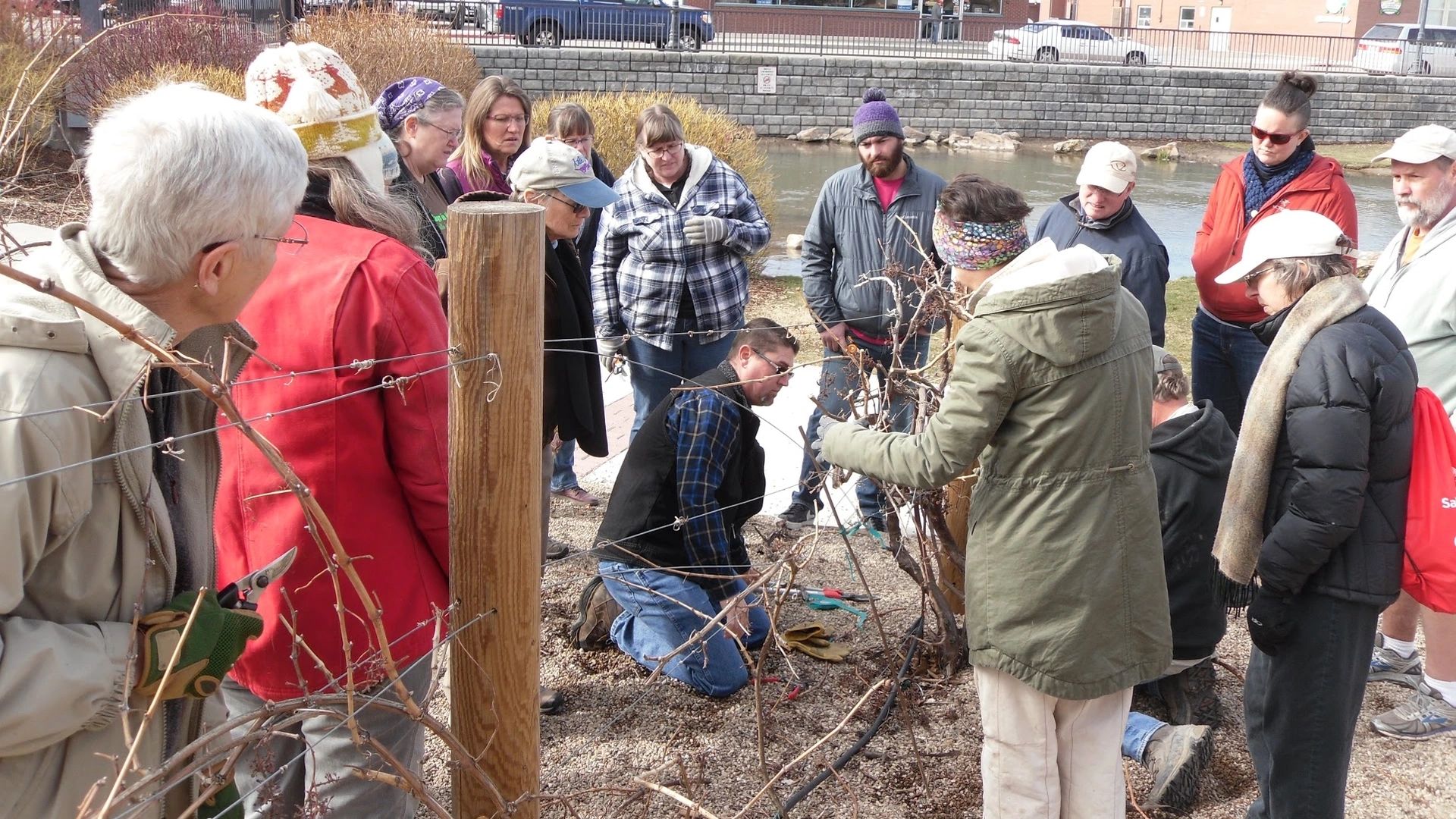 Horticulture and master gardeners at work