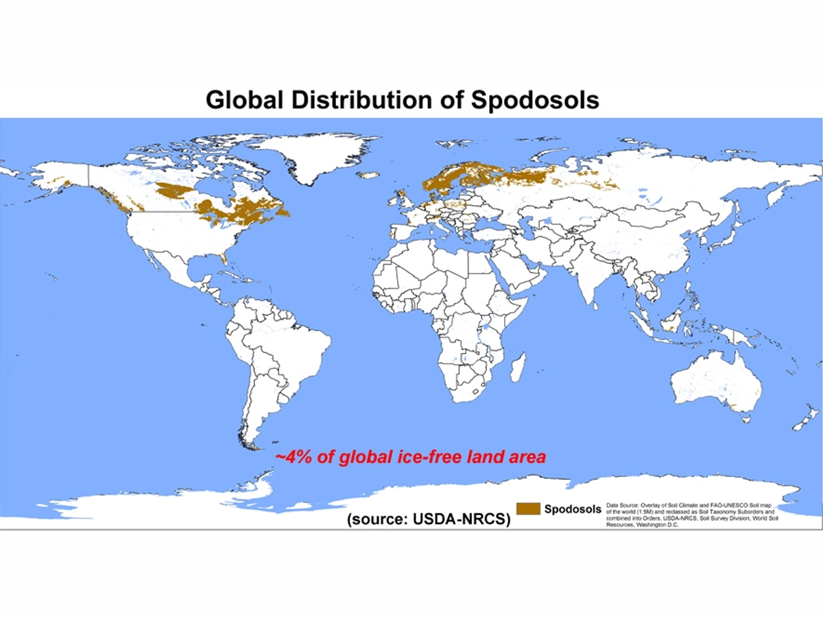A map of global distribution of Spodosols