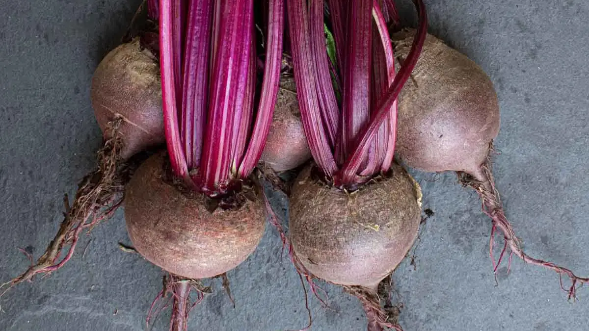beet-1 1200x1200.jpg