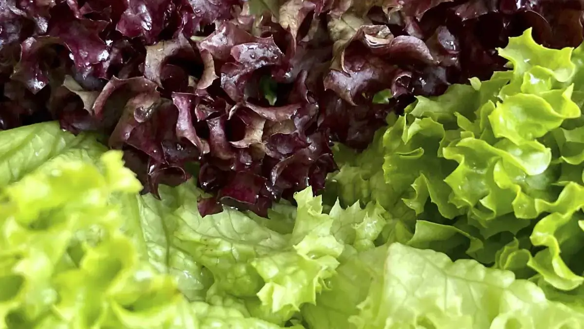 Landscapes and Gardens photos