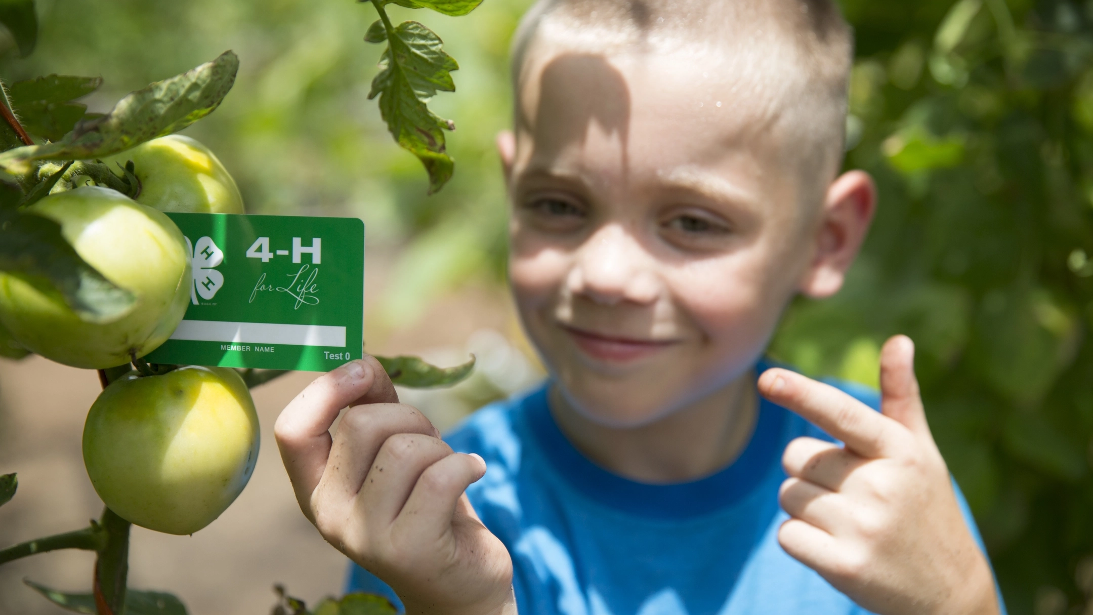 4H and Extension county photos