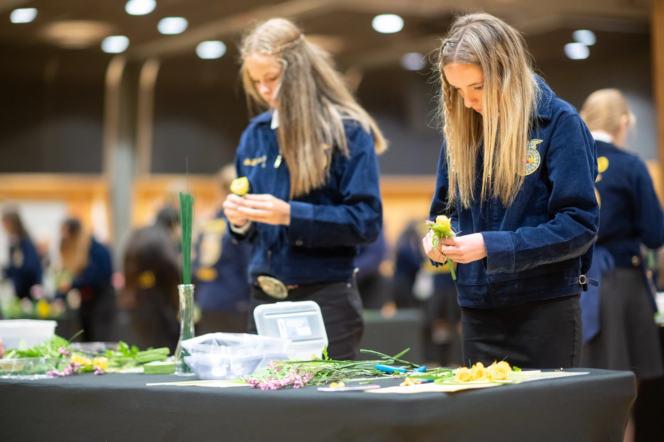 College Agricultural and Life Sciences Career Develpment events