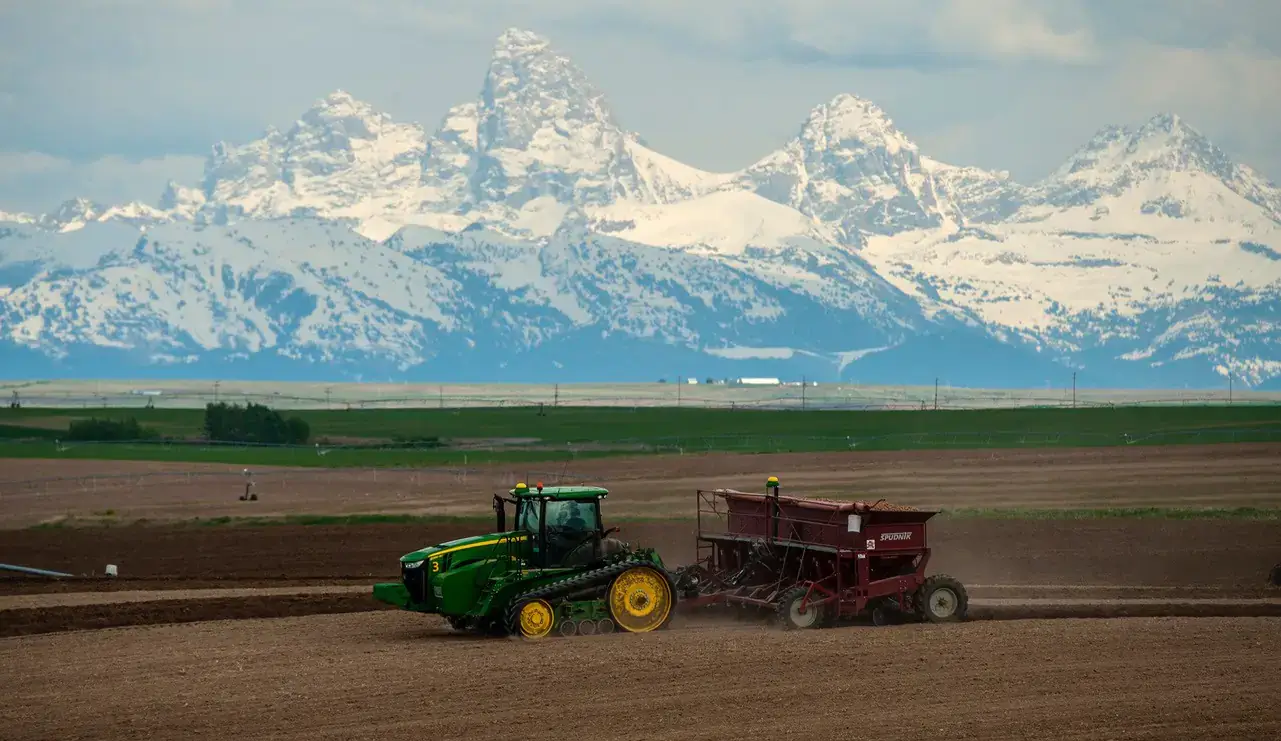 Seed potatoes are planted in a field in eastern Idaho with the Teton Range in the background.