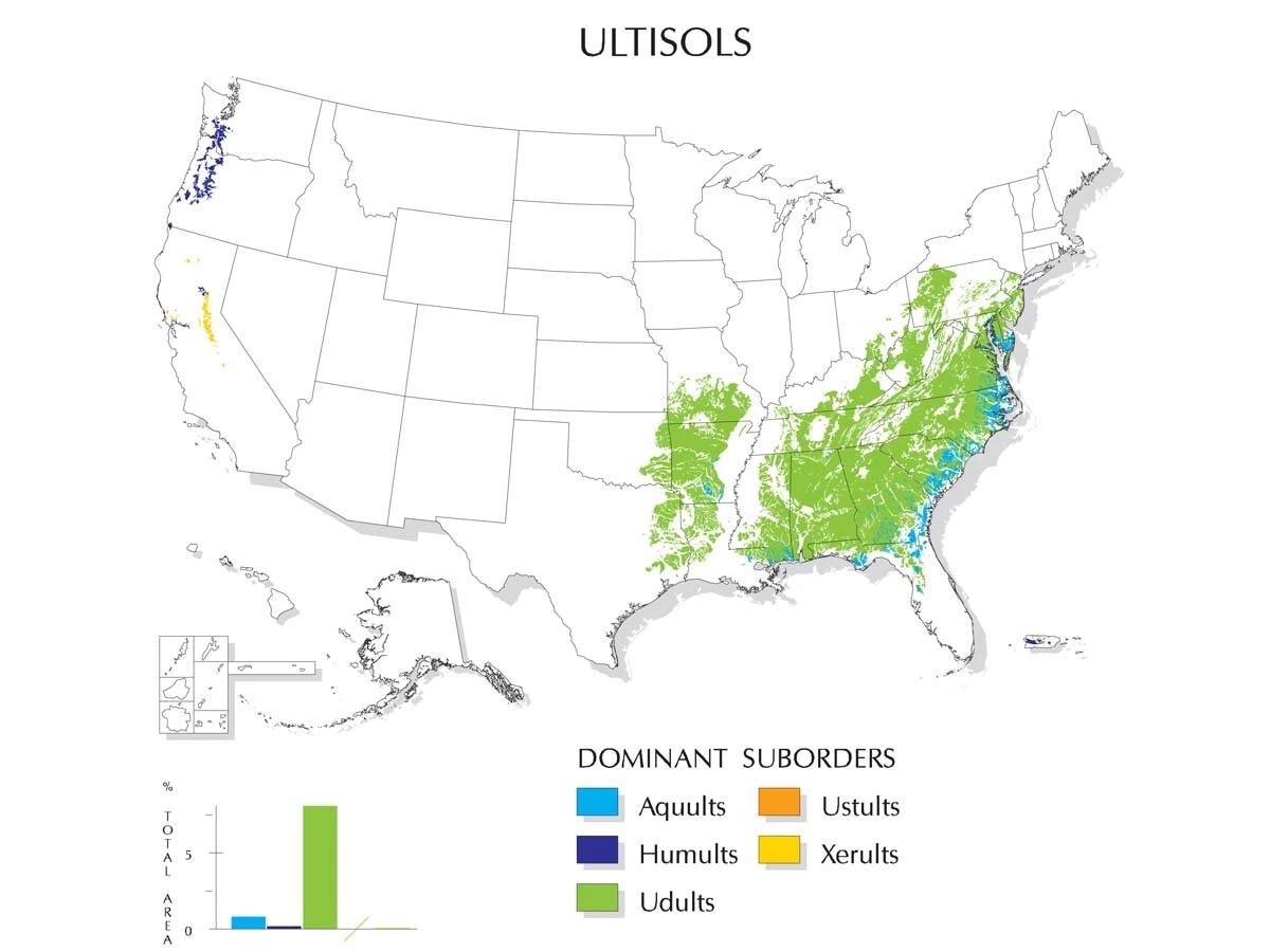 A map of the United States showing dominant suborder in ultisols
