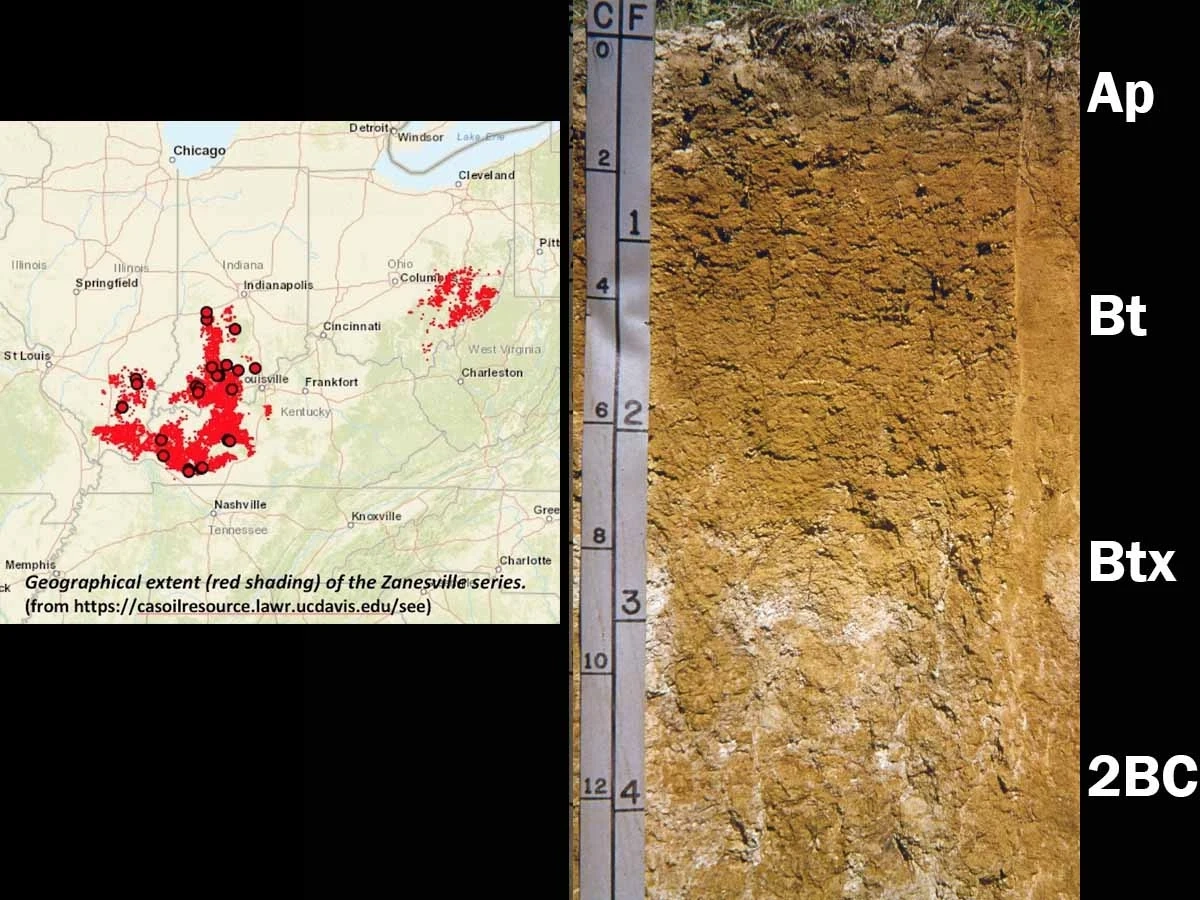A geographical extent of the Zonesville series where this alfisols was found.