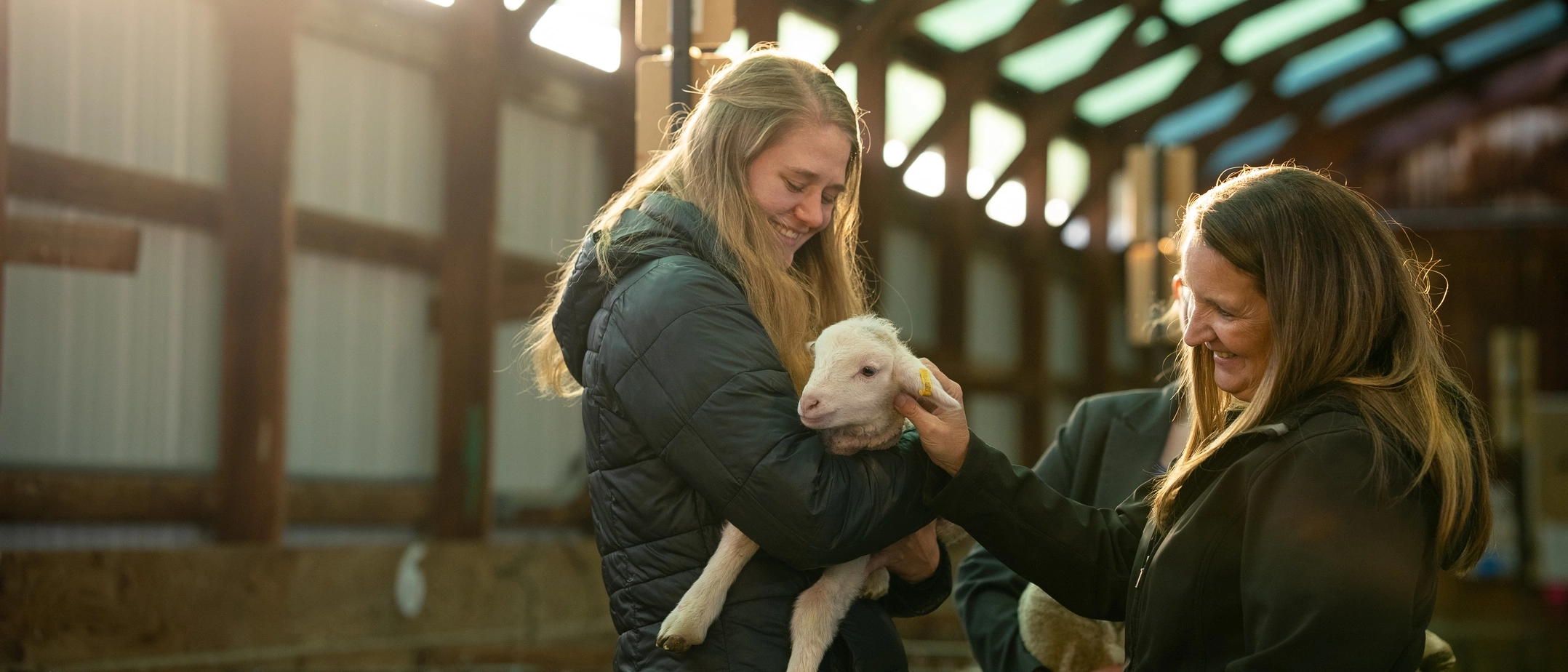 Dr. Brenda Murdoch at the University of Idaho Sheep Center documenting her award of a IGEM grant for advanced sheep genetic research.
