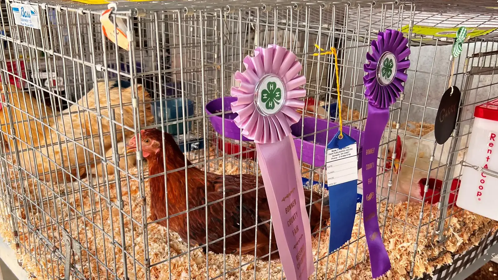 4-H photos and files located in counties