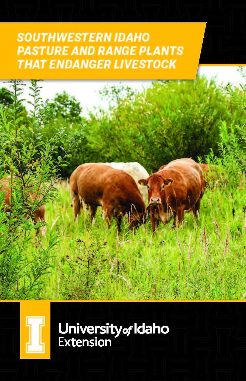 bul-0960 cover