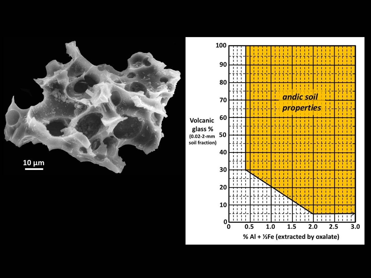 Graphs of andic soil properties