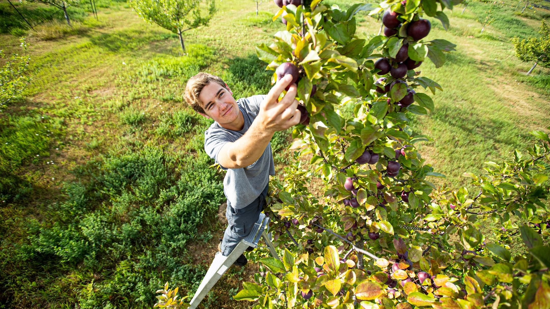Sandpoint Organic Agriculture Center SOAC