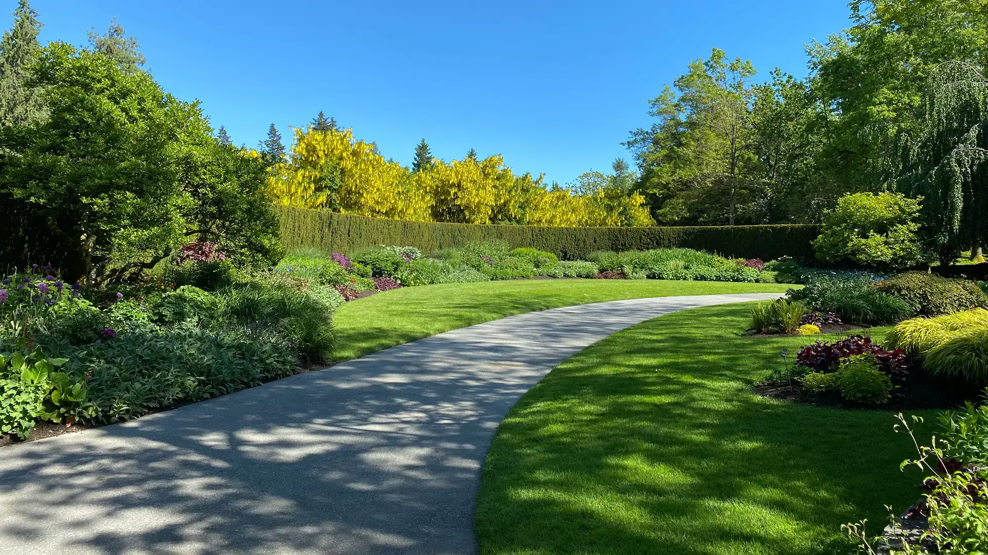 A walkway with a very nicely done landscaped walkway