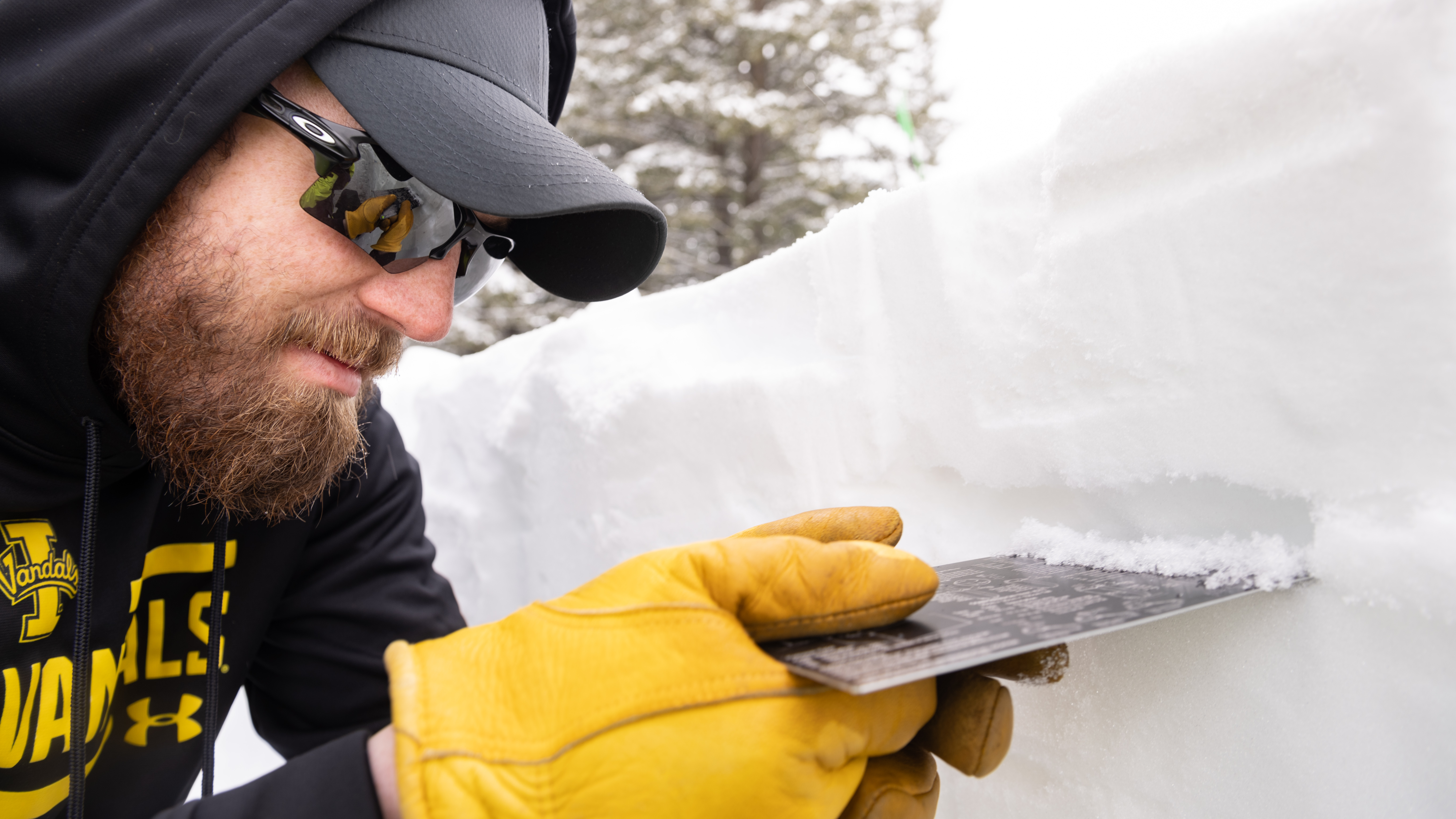 Faculty and Masters of Science students research snow science