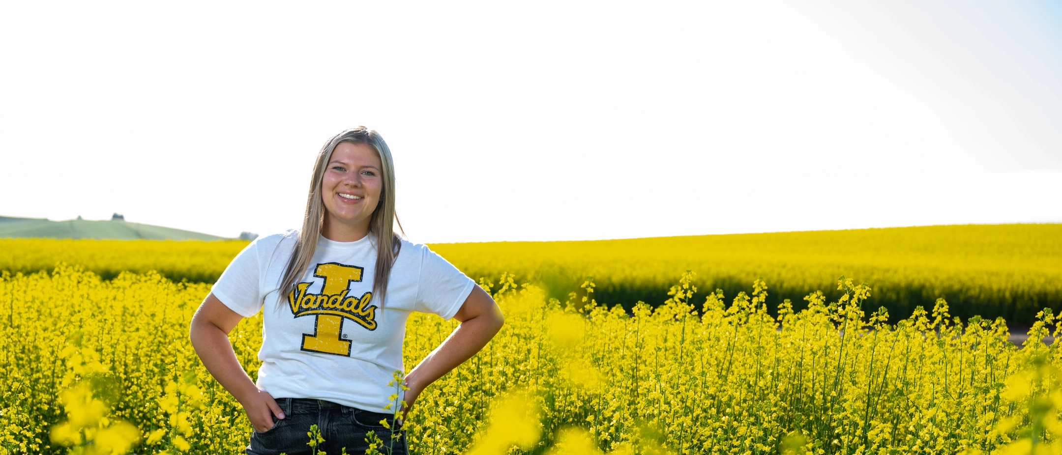 Student Impact feature for Direct Mailers