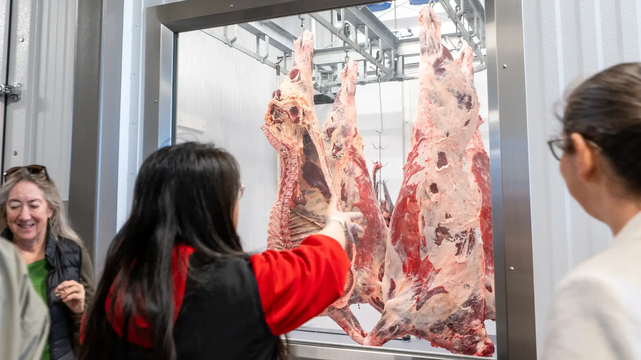 People look through a window at hanging beef carcasses.