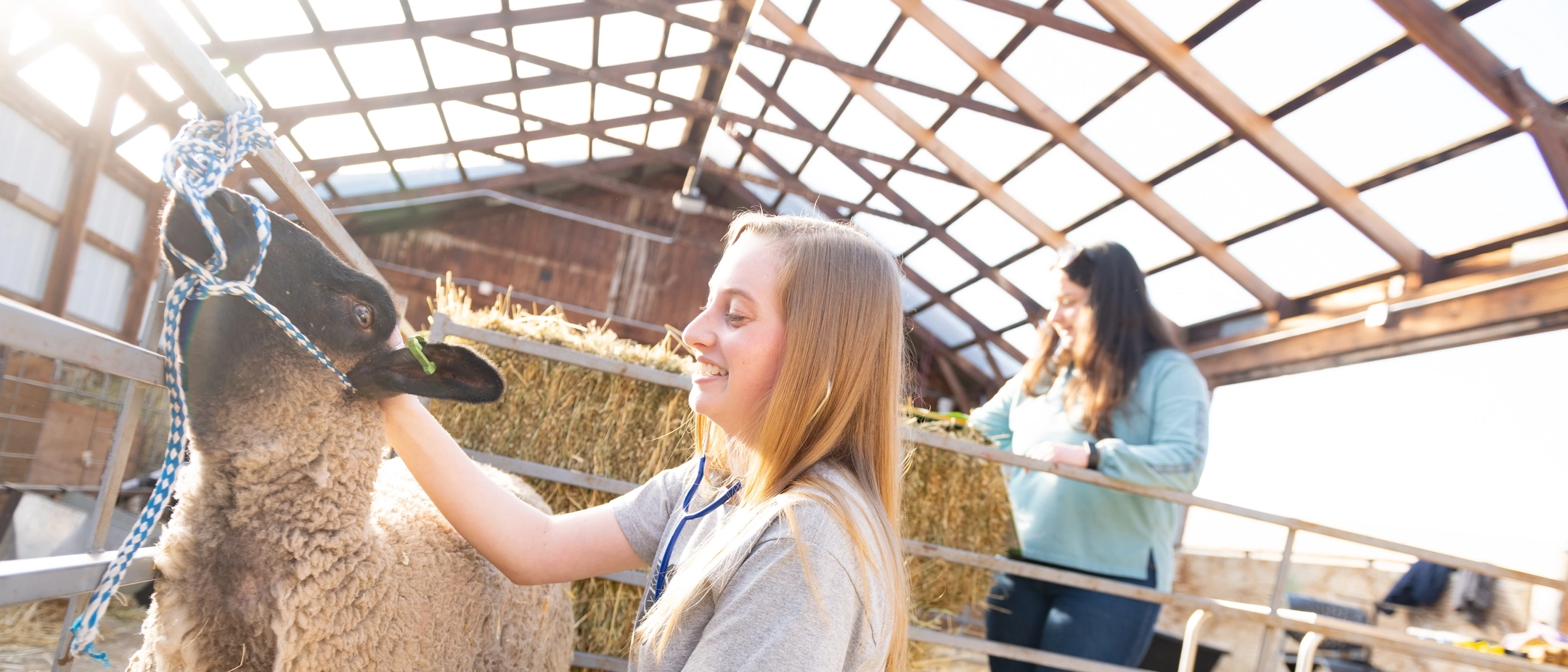 College of Agricultural and Life Sciences undergraduate research student feature