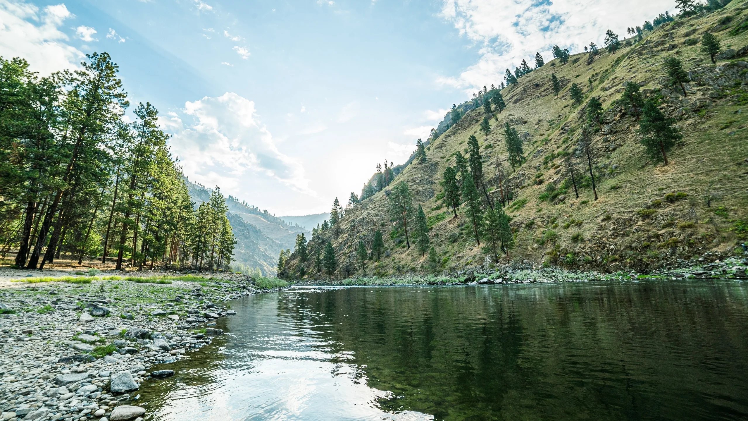 Salmon River at Riggins Idaho