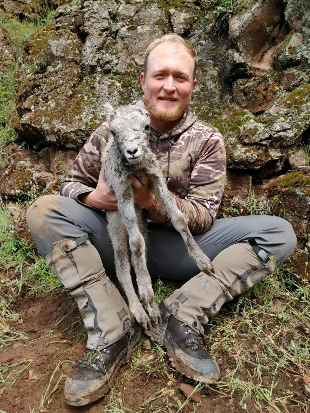 Smiling man sits on hillside holds baby bighorn sheep
