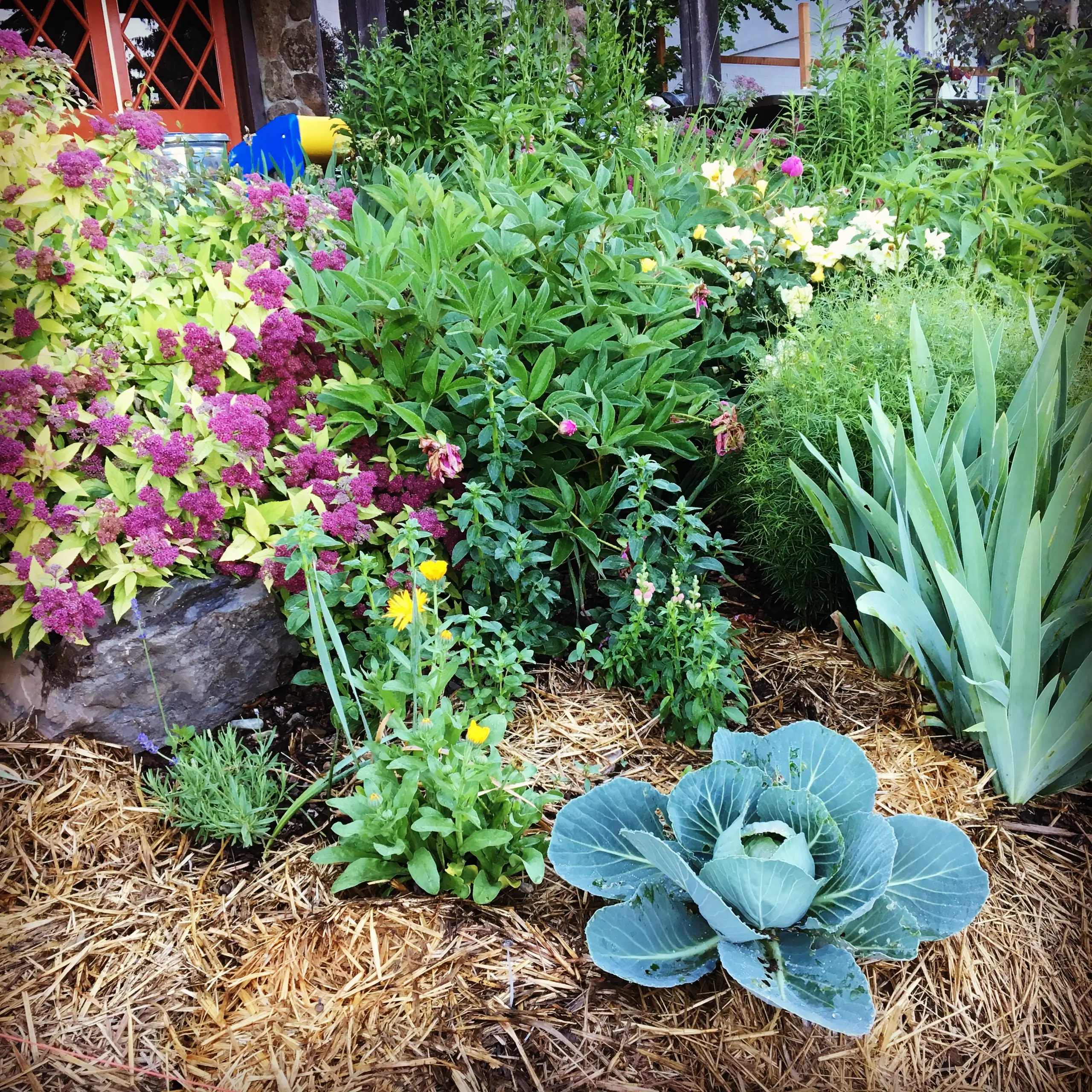 UI Extension program photos and files in counties