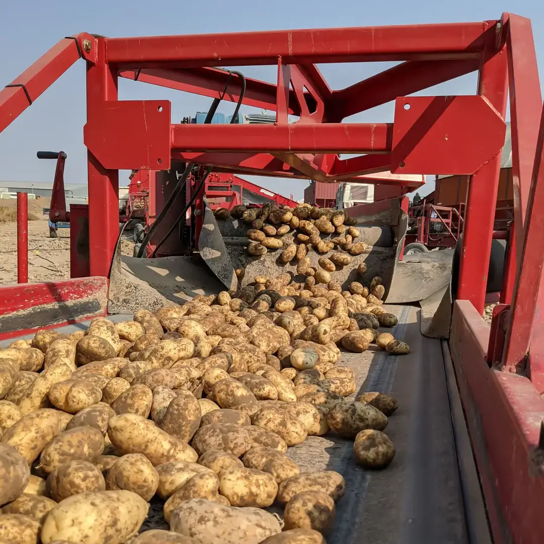 Potato photos and USDA NIFA logo