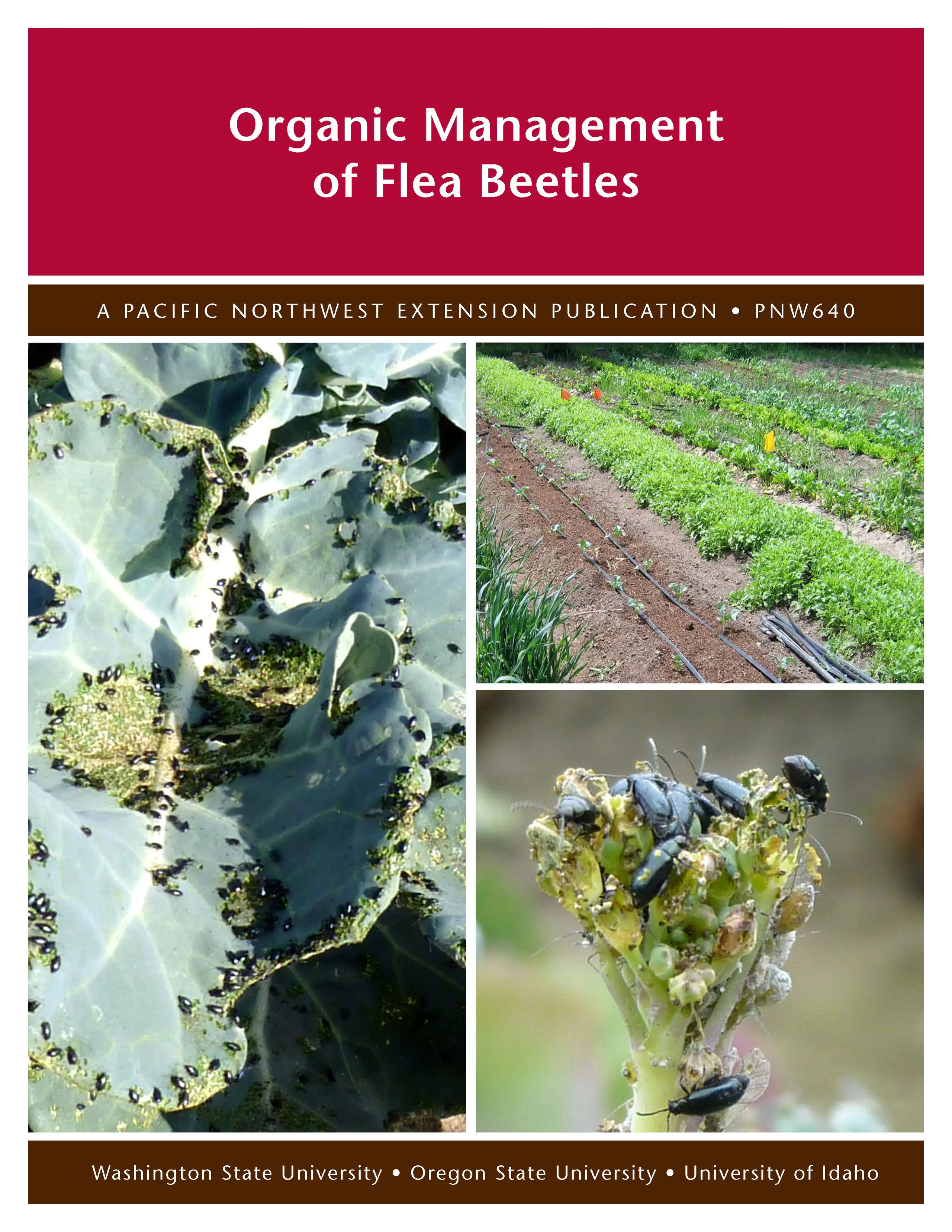 pnw-0640 cover.jpg