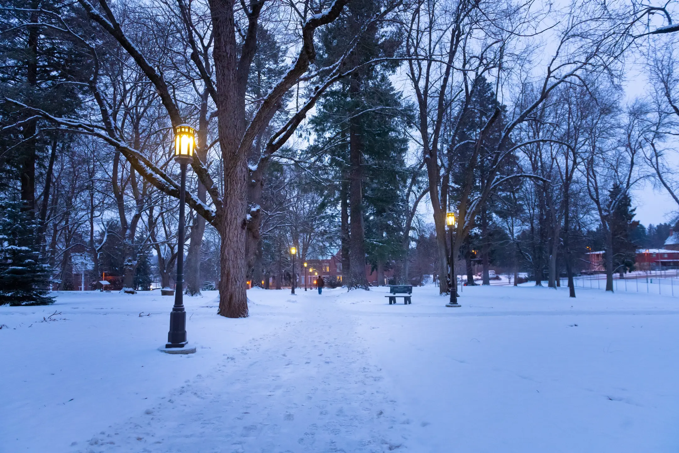 University of Idaho Campus Winter