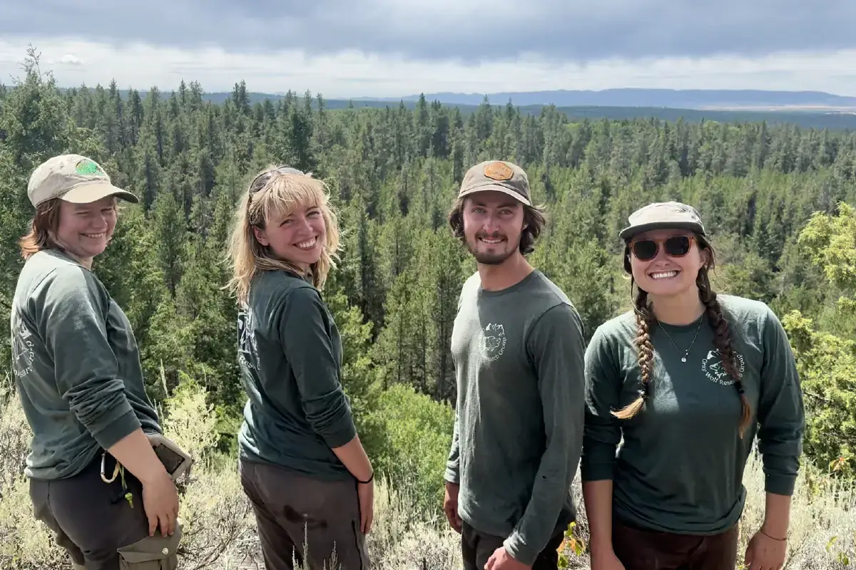 Four students pose, overlooking an evergreen forest.