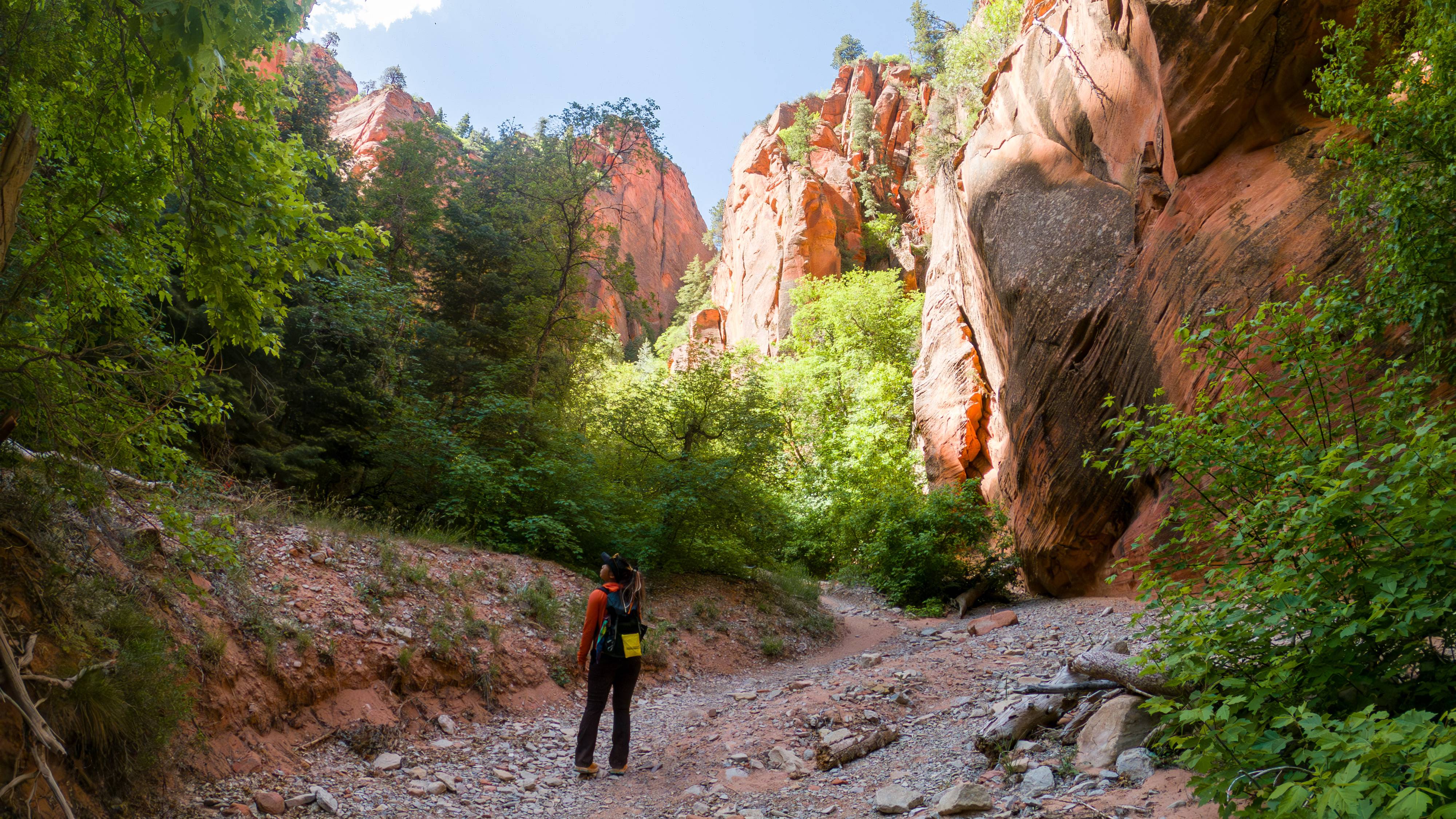 Geology Field Camp is a 2 week course that happens every year and is required at U of I to get a Geology degree.
