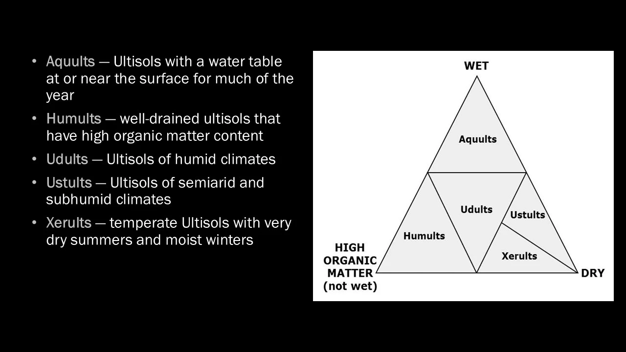 A graphic showing the five suborders in ultisols