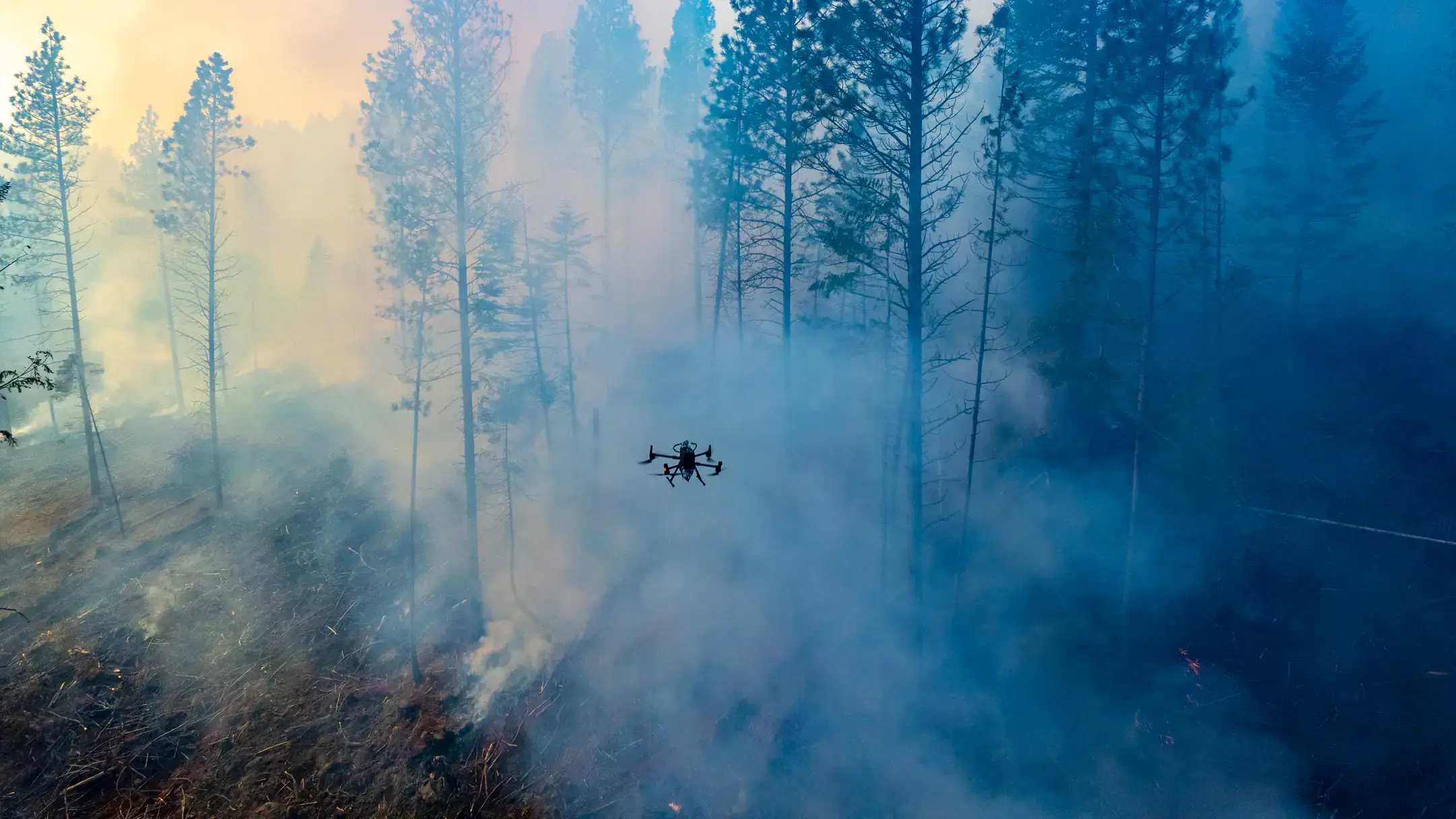 A drone flying through fire smoke and trees.