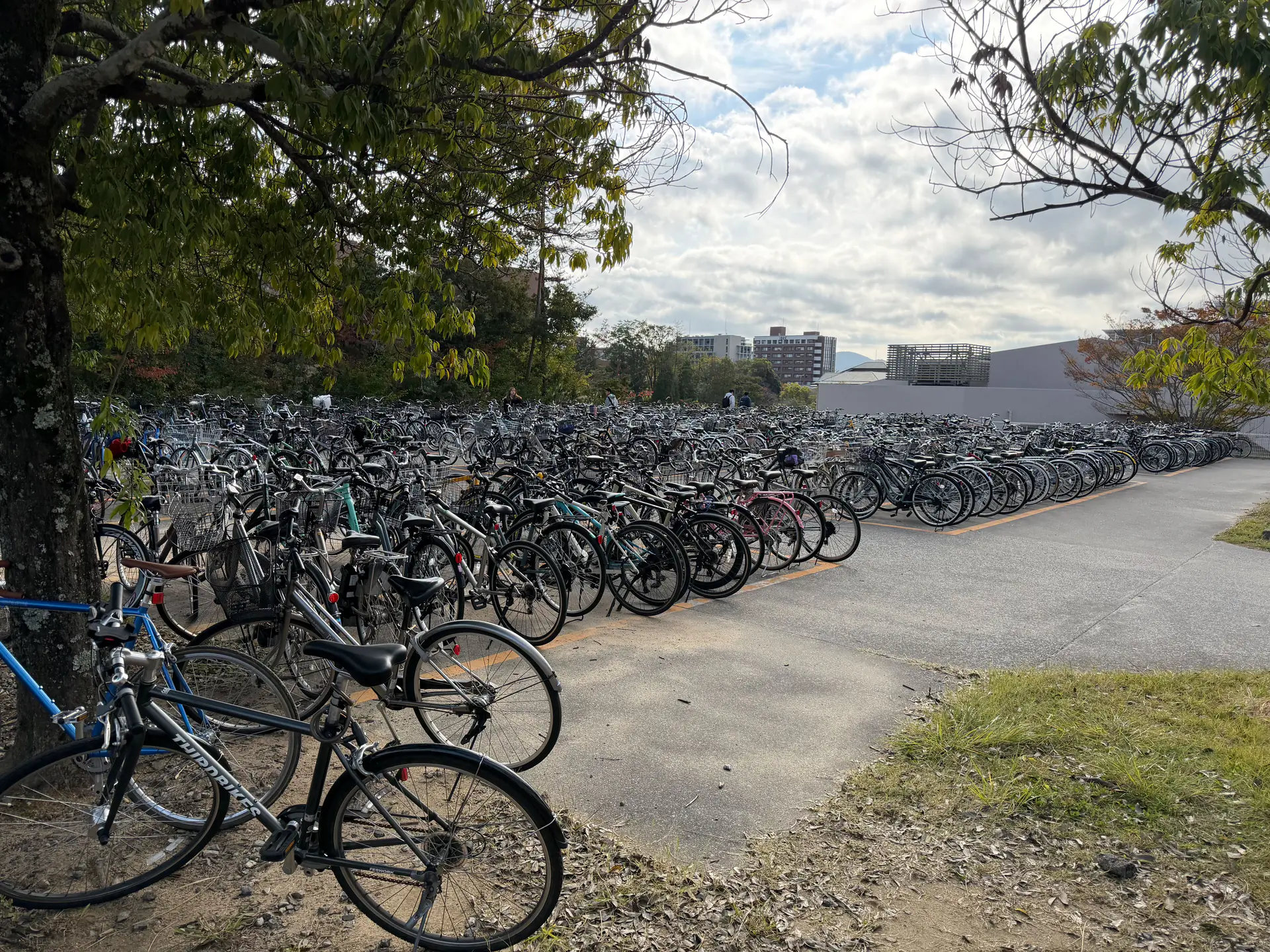 Dorm parking lot filled with hundreds of bicycles on HU campus.
