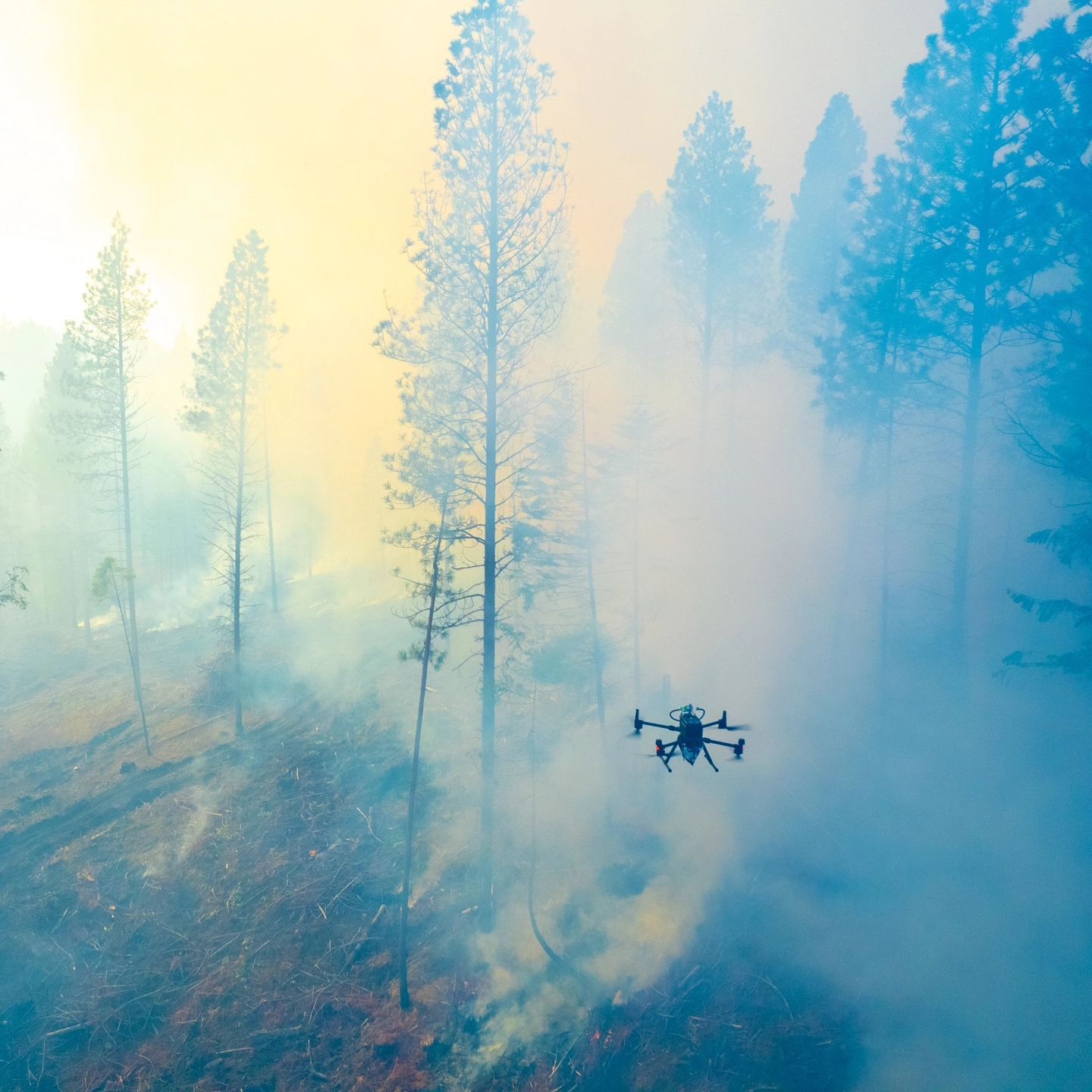 College of Natrual Resource University of Idaho Experimental Forest prescribed burn